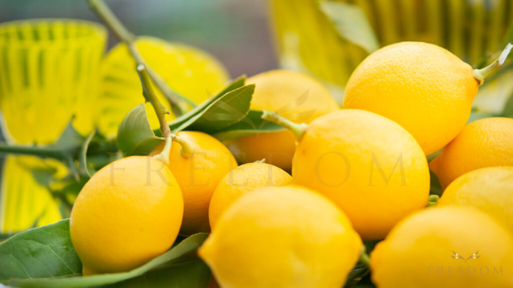 Güzelyurt is renowned for its fertile lands, earning it the title of the "Citrus Paradise" of North Cyprus